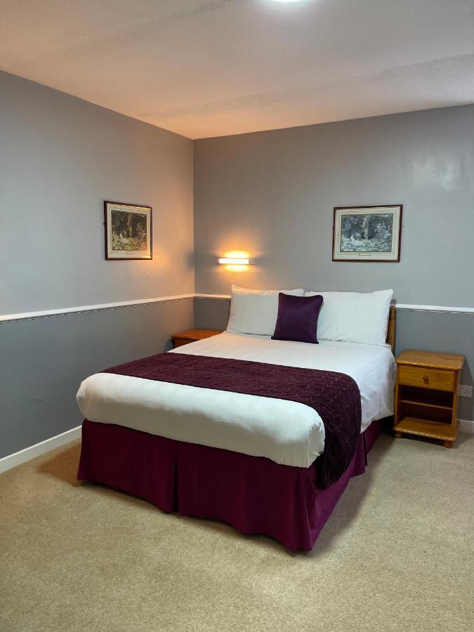 Palm Court B&B Ilfracombe Eksteriør bilde